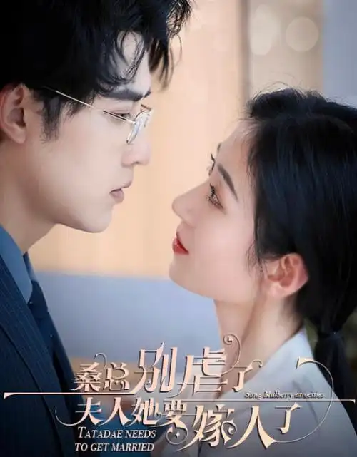 双面证词 悬疑电视剧全集在线观看